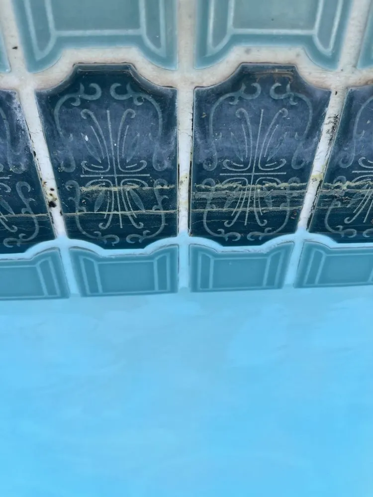 Slide of American Leak Detection of South Florida