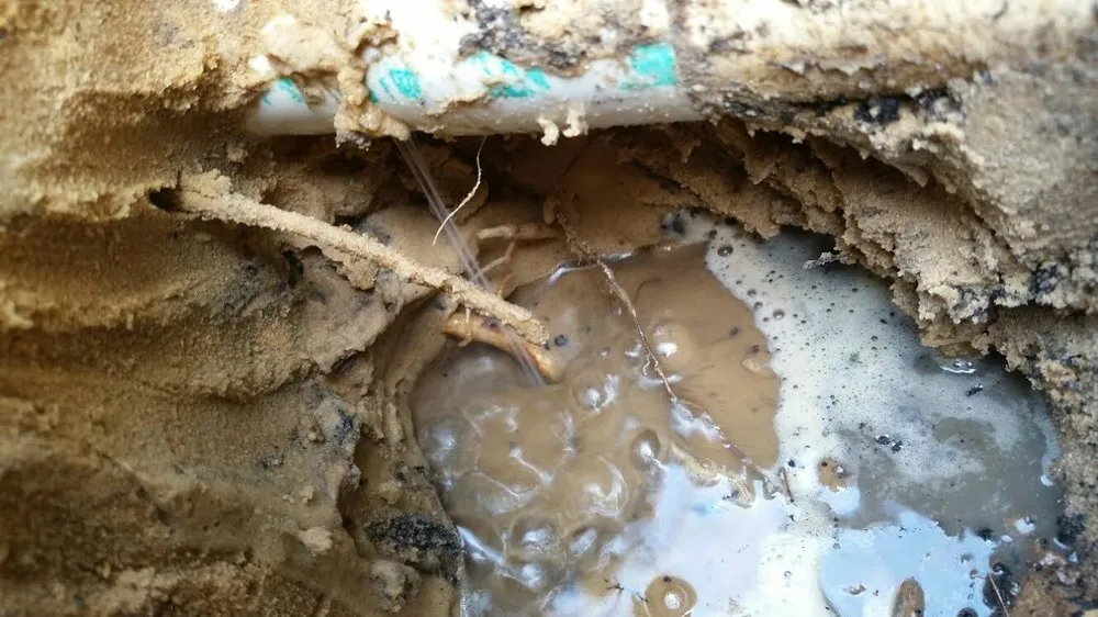 Slide of American Leak Detection of Tampa