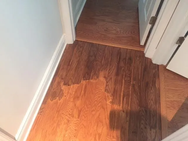 Slide of American Leak Detection of Tampa