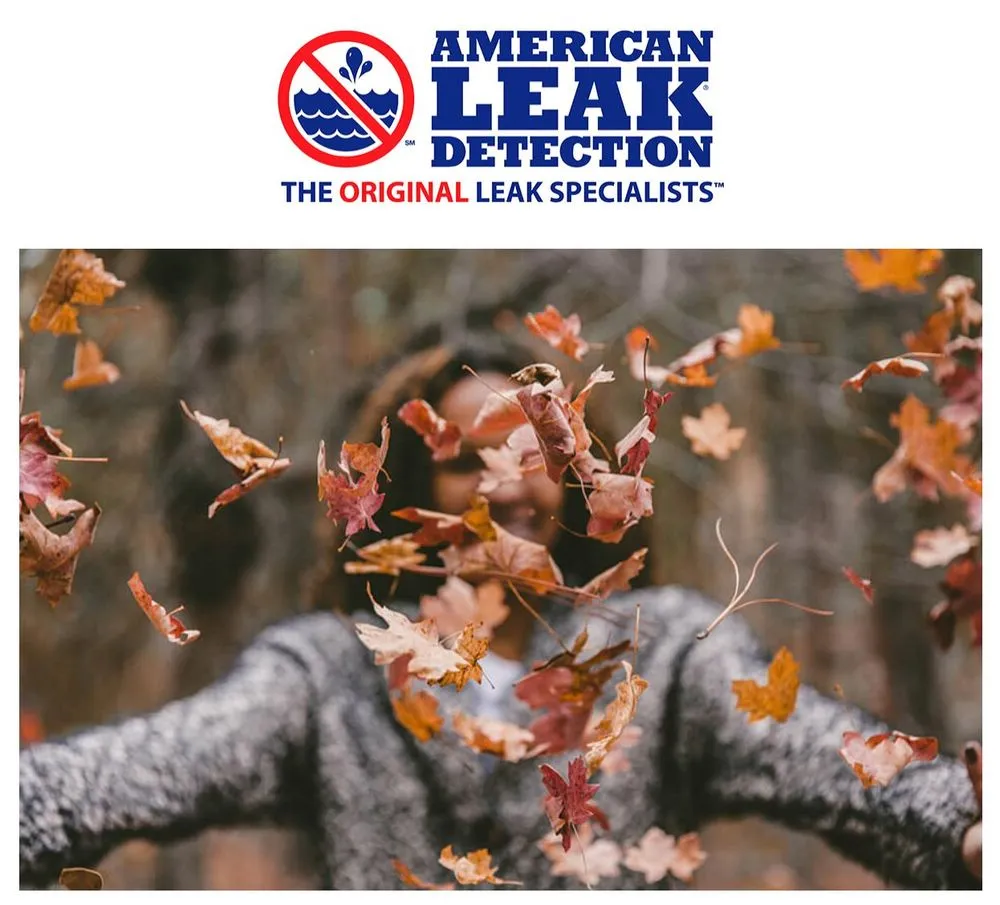 Slide of American Leak Detection of Utah