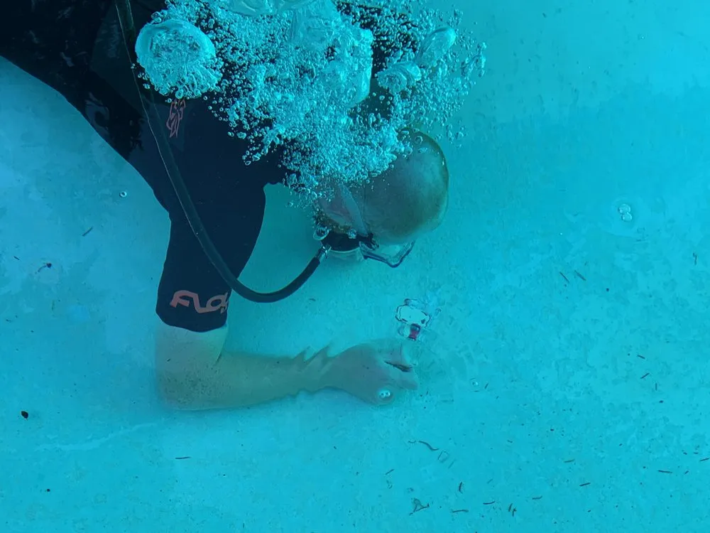 Slide of American Leak Detection of Western Washington