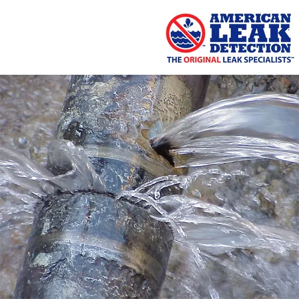 Expert plumbing repair experts serving Snoqualmie, WA - American Leak Detection of Western Washington