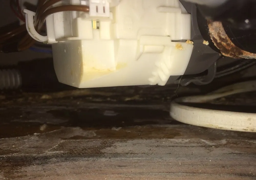 Slide of American Leak Detection