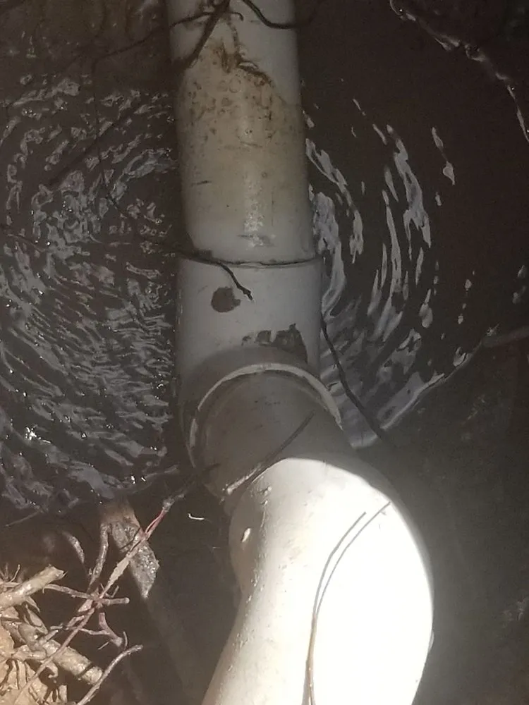 Top-rated emergency plumbing service in Spring, TX - American Leak Detection