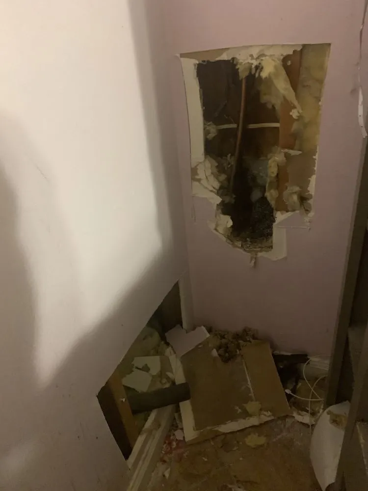 Slide of American Leak Detection