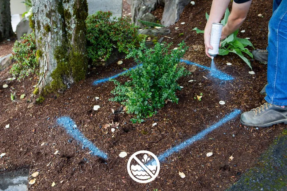 Reliable water heater service service in Watsonville, CA - American Leak Detection