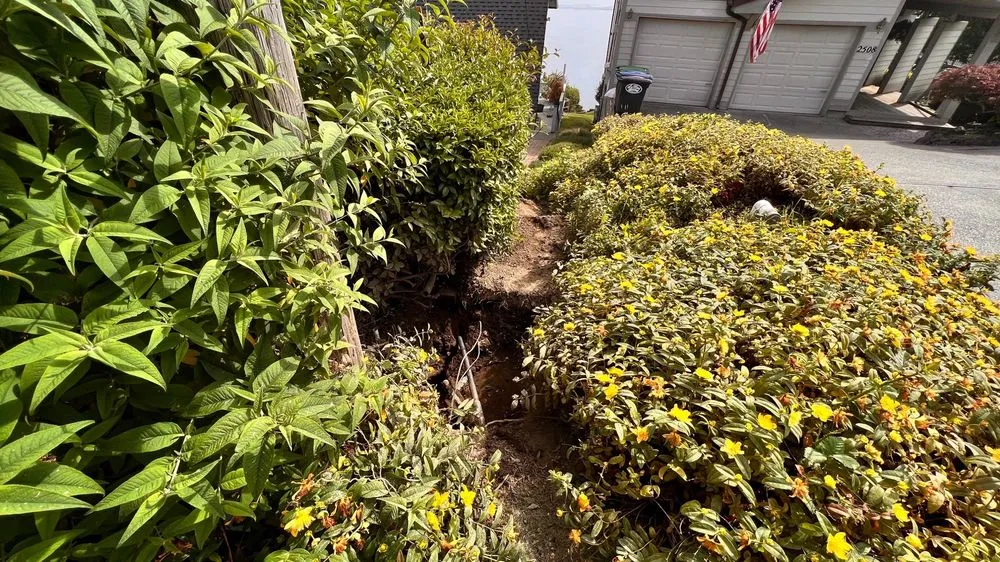 Trusted leak detection for homes in Puyallup, WA by American Mains and Drains