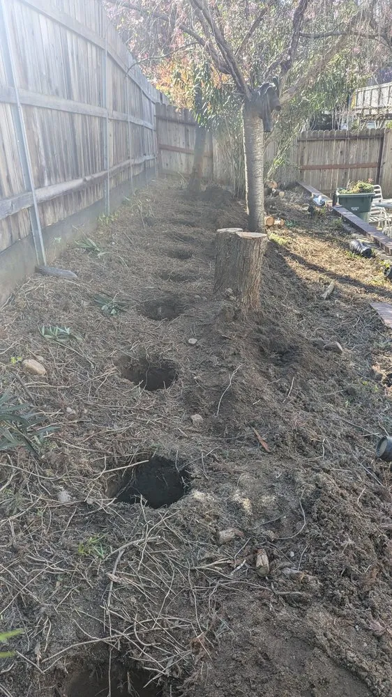 Slide of American Modern Construction