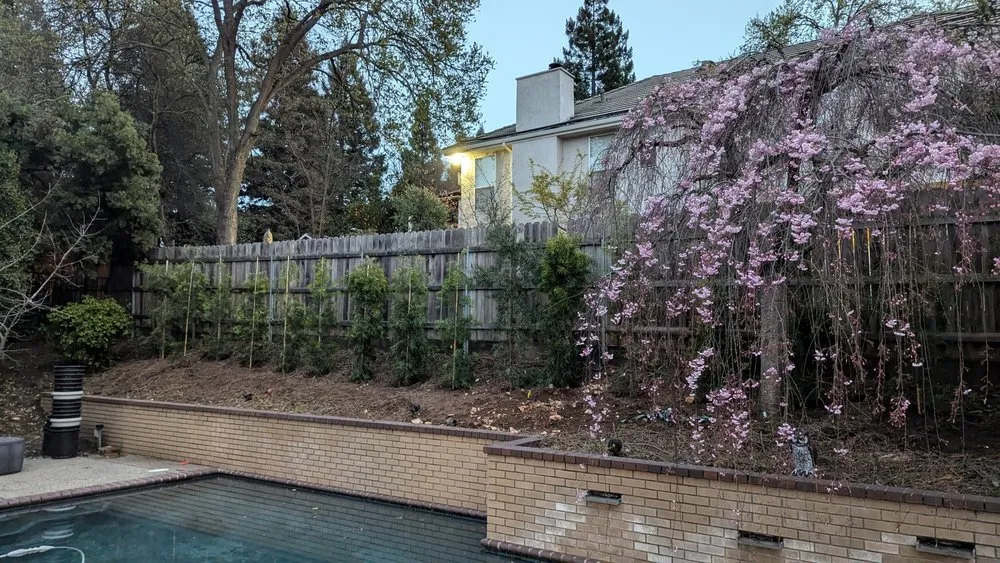 Slide of American Modern Construction