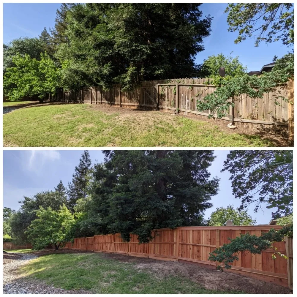 Top-rated drain cleaning service in Roseville, CA - American Modern Construction