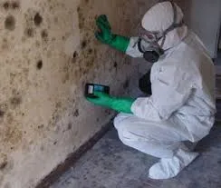 Slide of American Plumbing & Leak Detection