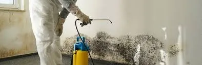 Slide of American Plumbing & Leak Detection