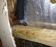 Slide of American Plumbing & Maintenance