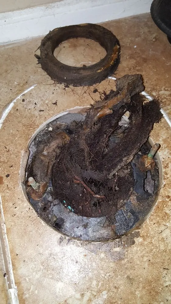 Slide of American Plumbing and Rooter