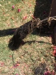 Trusted plumbing repair experts serving Maineville, OH - American Plumbing Solutions