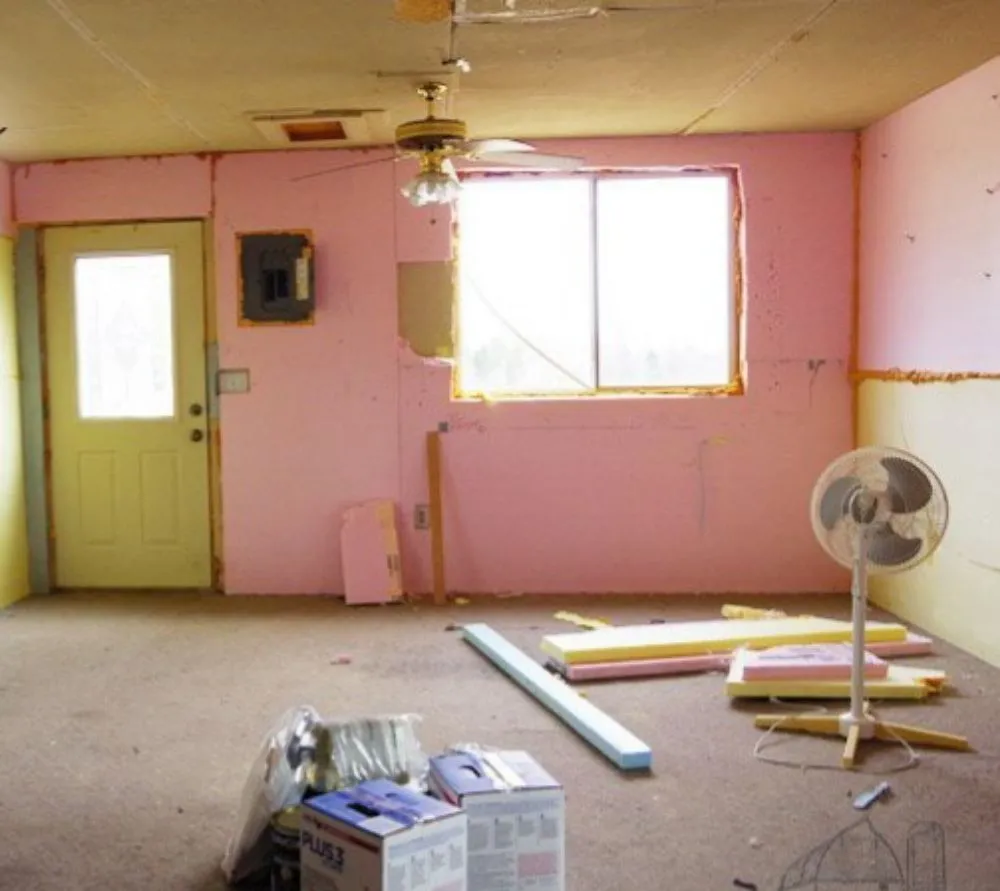 Slide of American Renovators