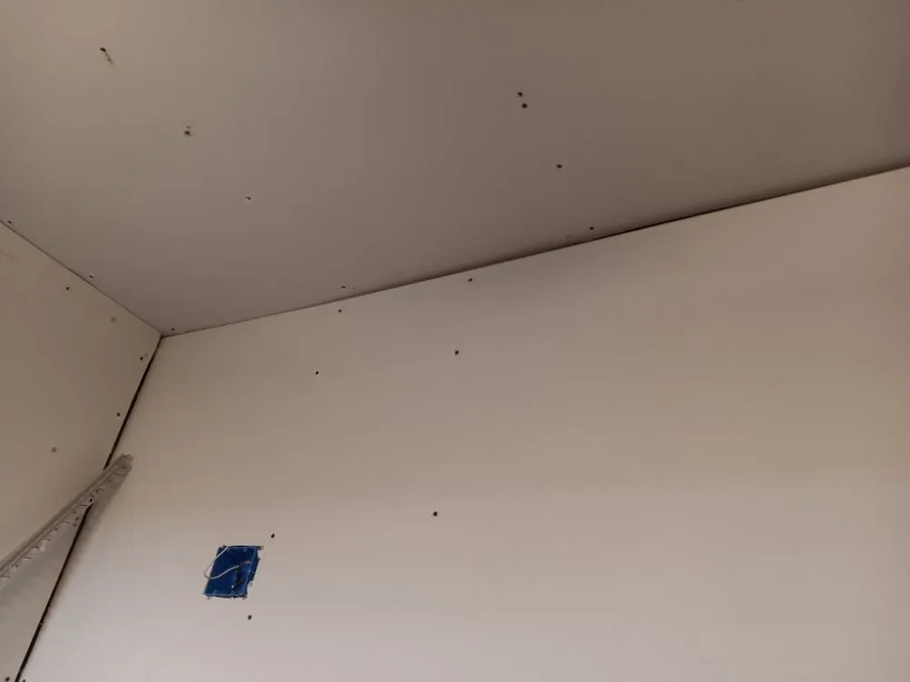 Slide of American Renovators