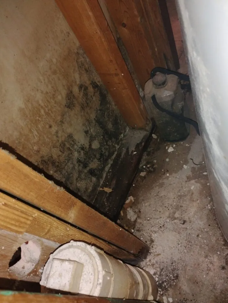 Slide of American Renovators