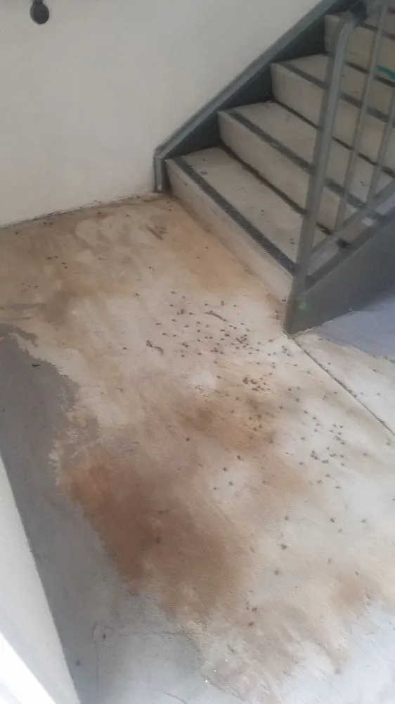 Slide of American Republic Coastal Handyman, LLC