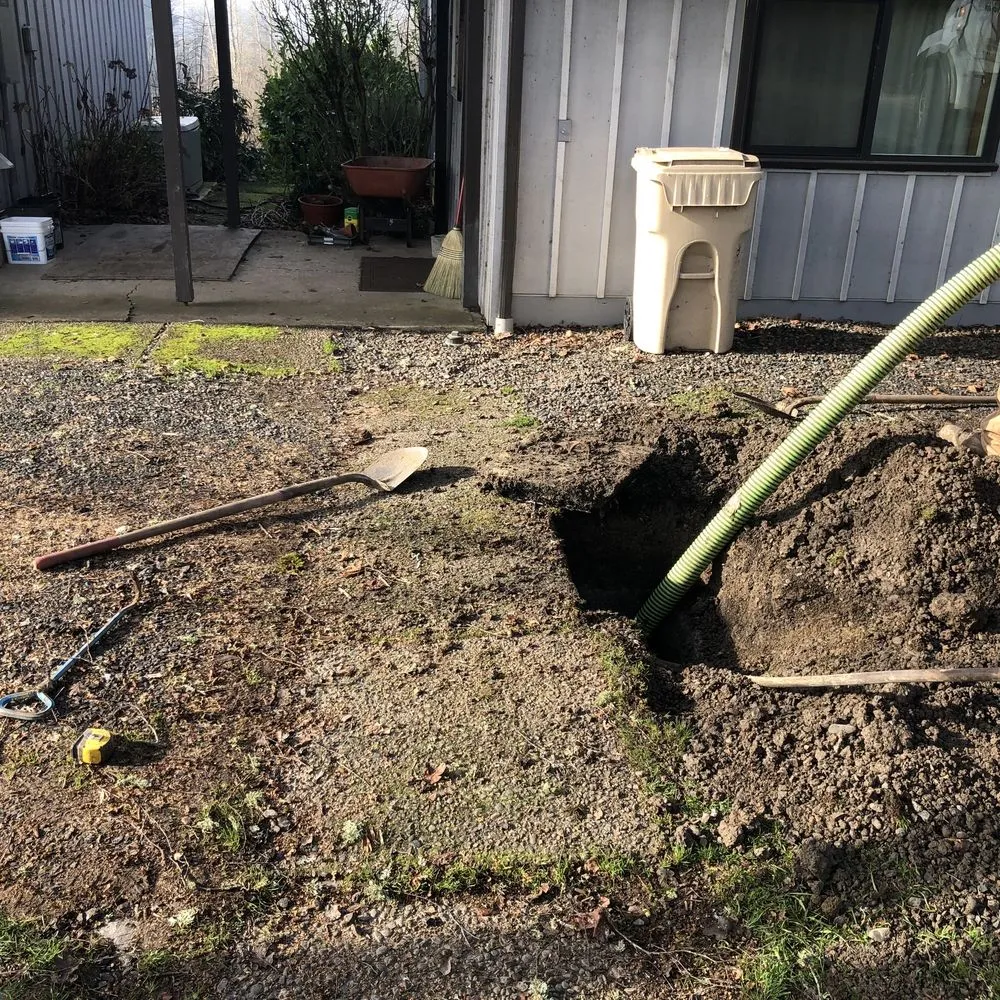 Slide of American Rooter