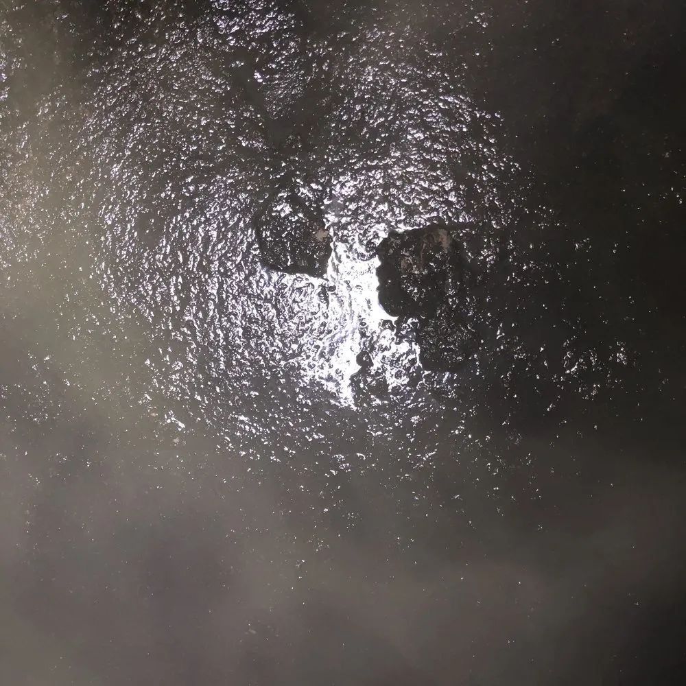 Slide of American Rooter