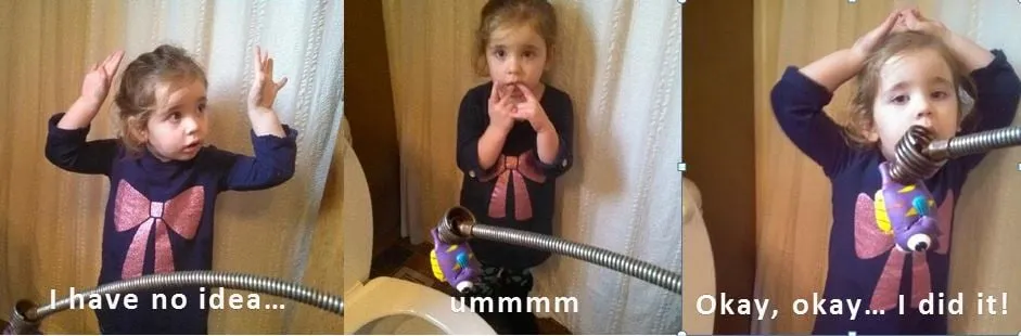 Slide of American Rooter