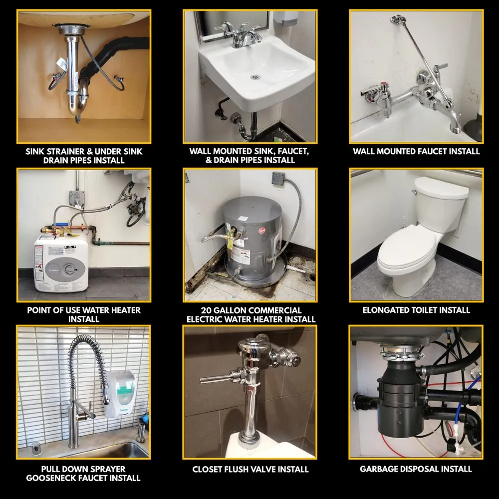 Slide of American Rooter