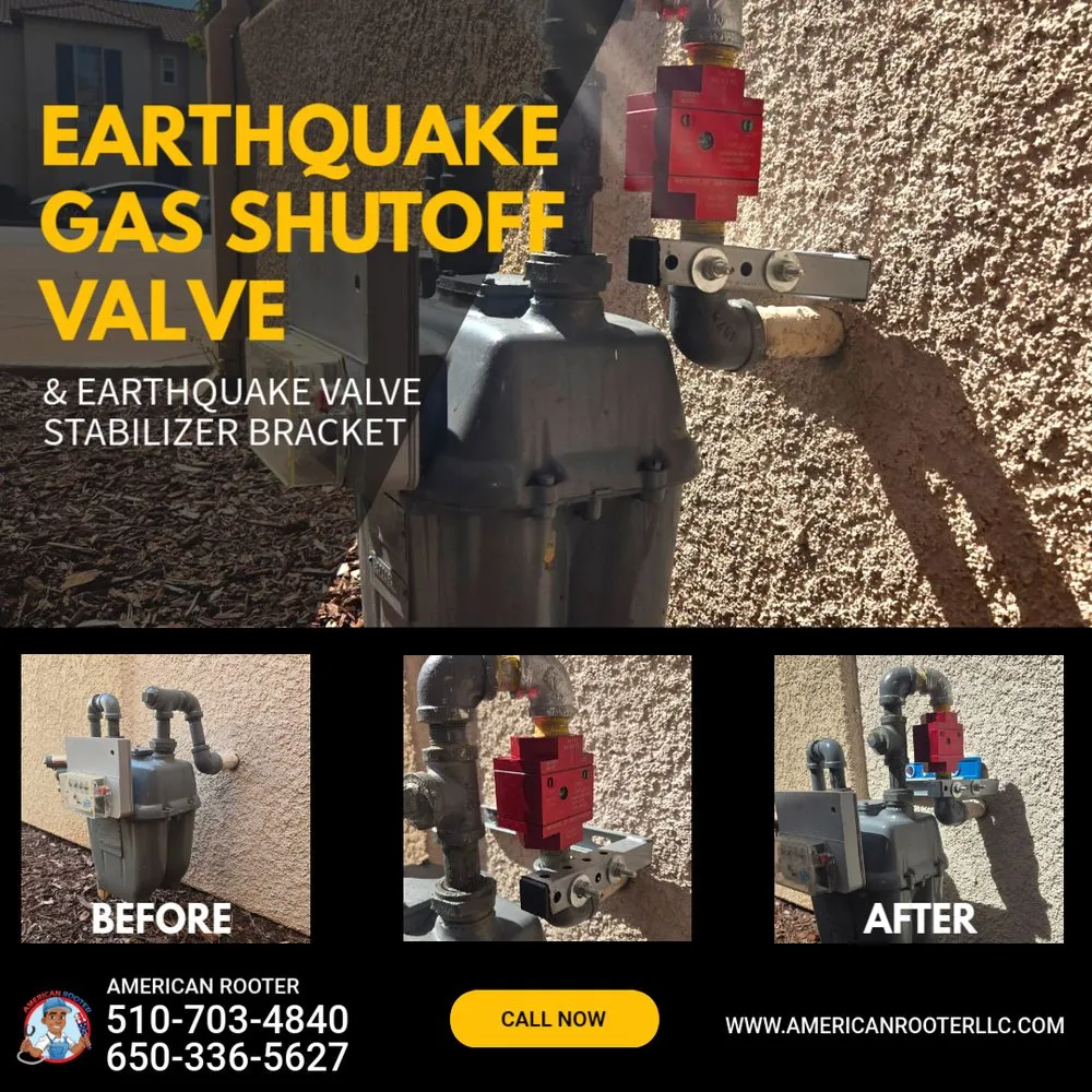 Slide of American Rooter