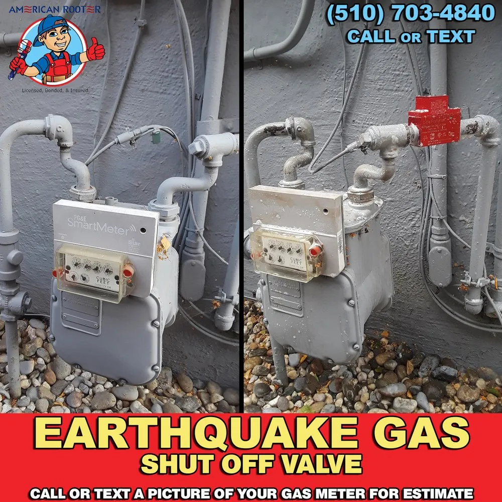 Slide of American Rooter