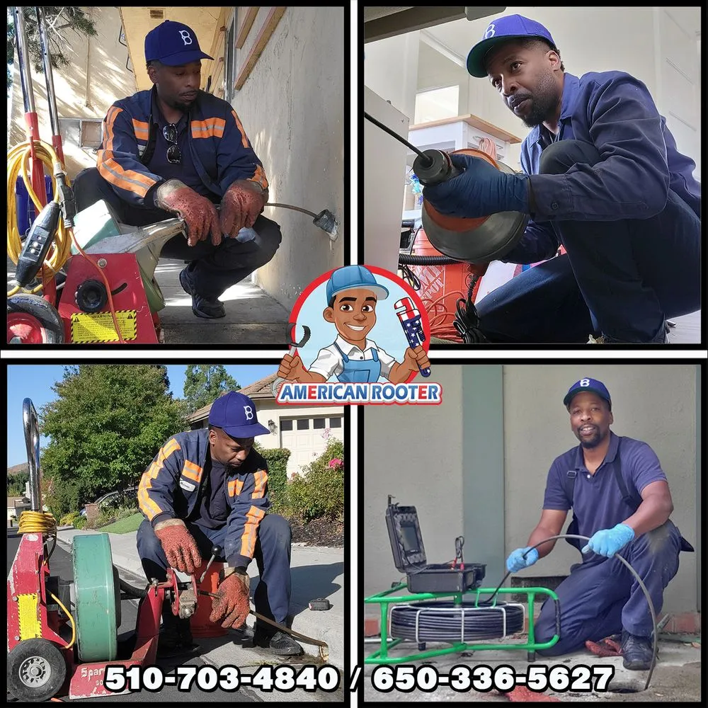 Slide of American Rooter