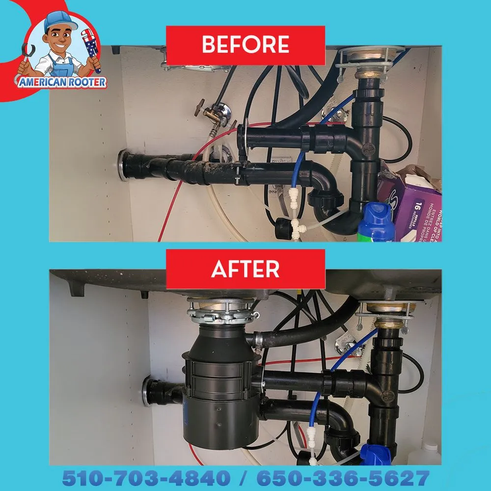 Slide of American Rooter