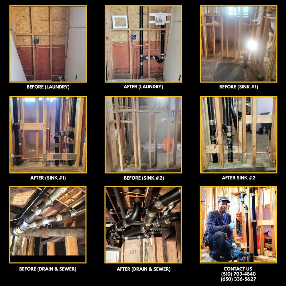 Slide of American Rooter