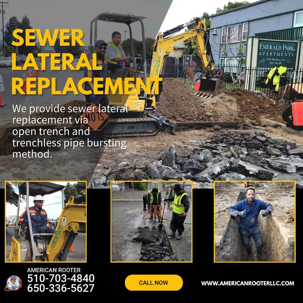 Slide of American Rooter