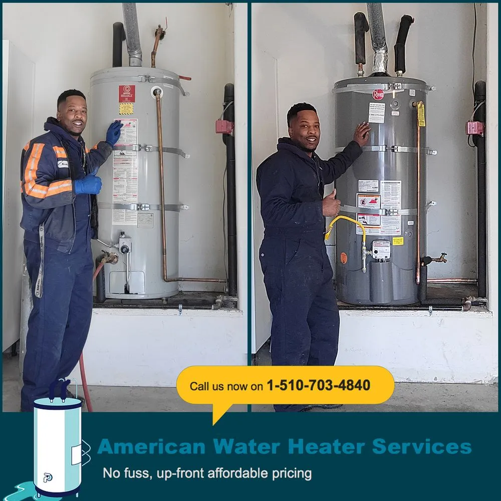 Slide of American Rooter