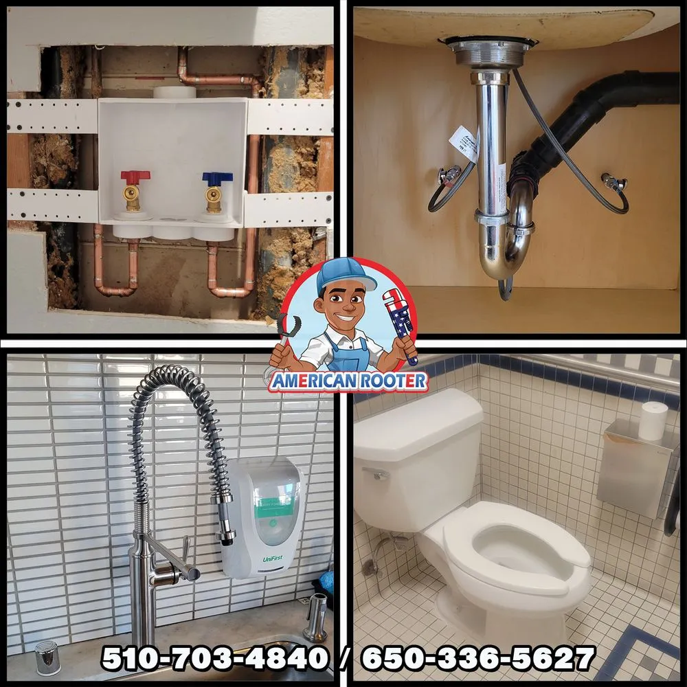 Slide of American Rooter