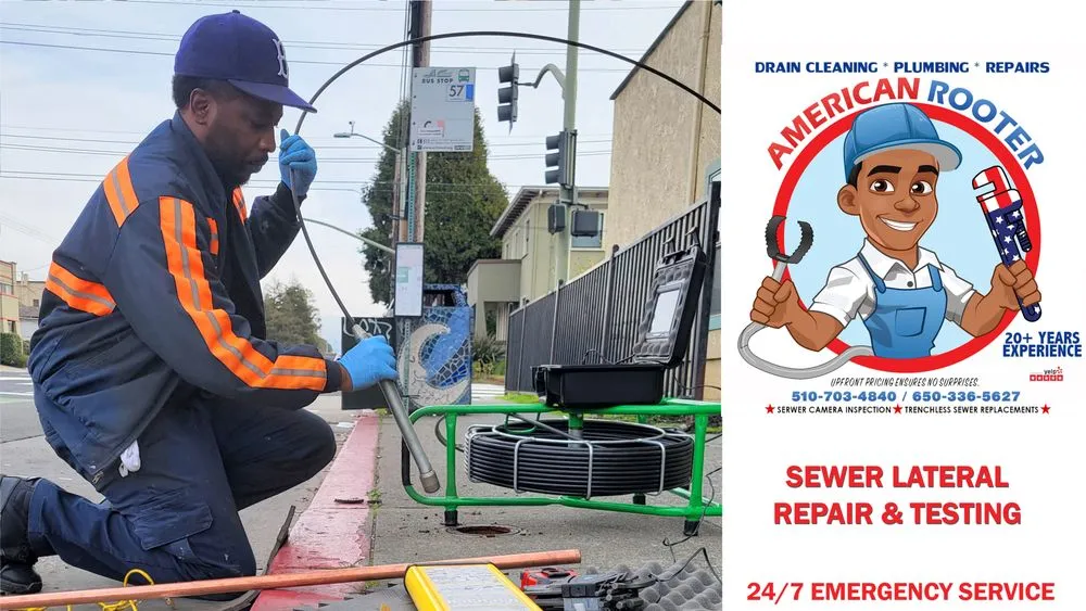 Slide of American Rooter