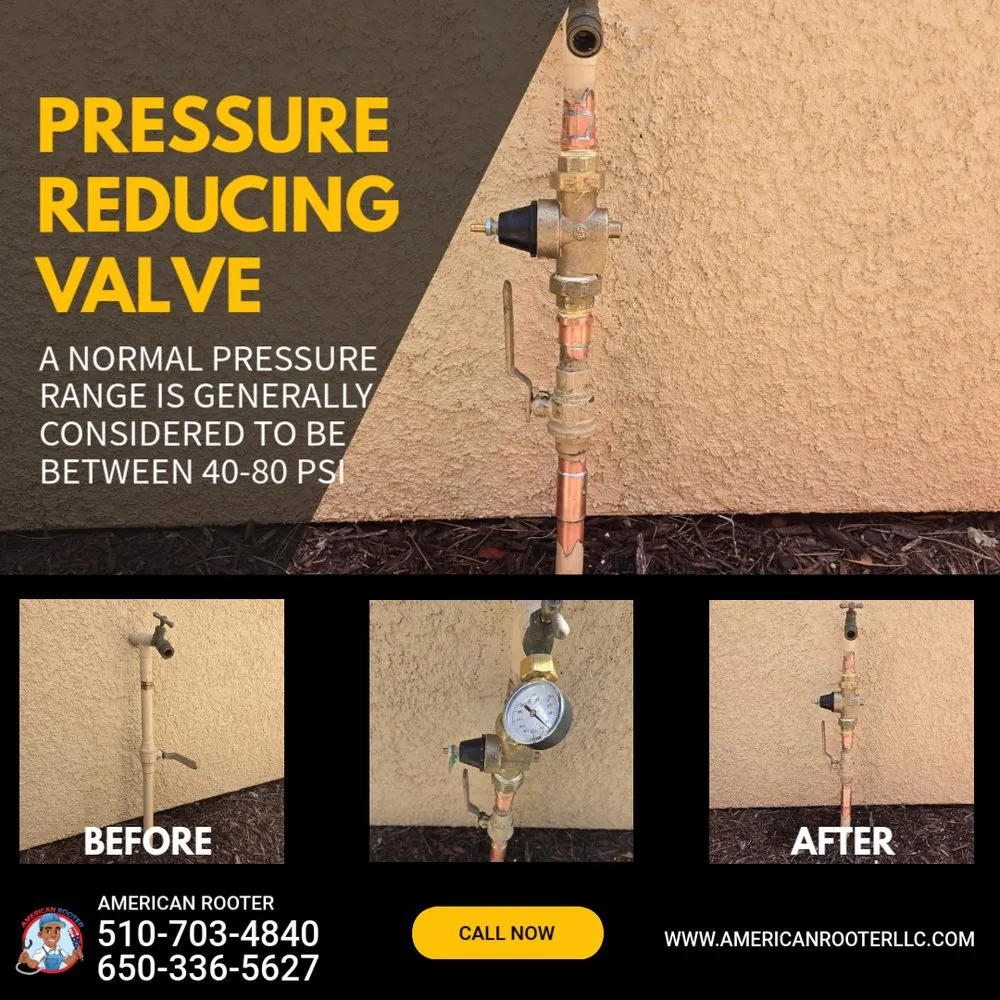 Slide of American Rooter