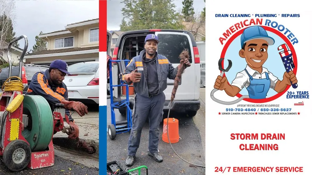 Slide of American Rooter