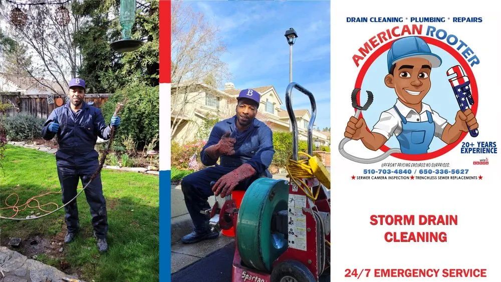 Slide of American Rooter