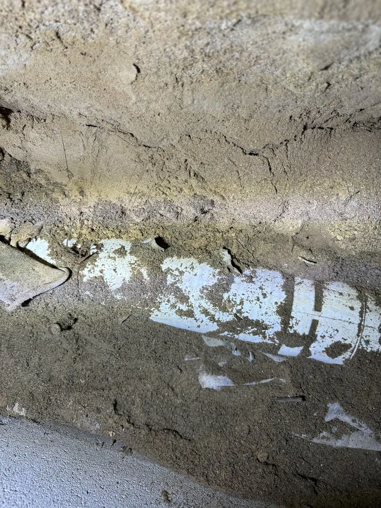 Slide of American Rooters 4 Less