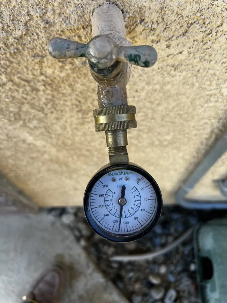 Slide of American Rooters 4 Less