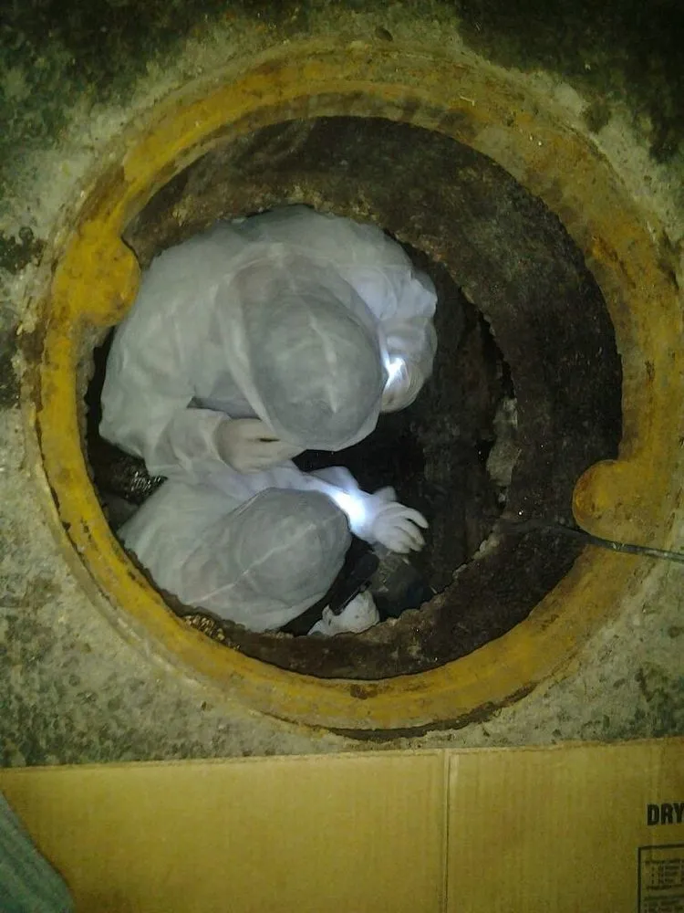 Slide of American Rooters 4 Less