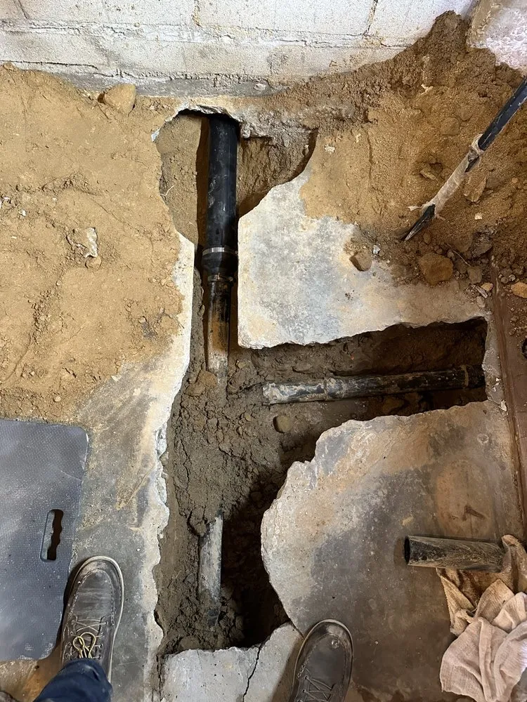 Slide of American Rooters 4 Less