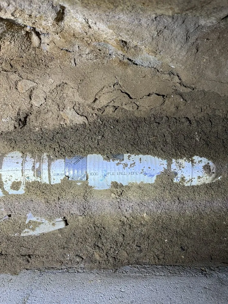 Slide of American Rooters 4 Less