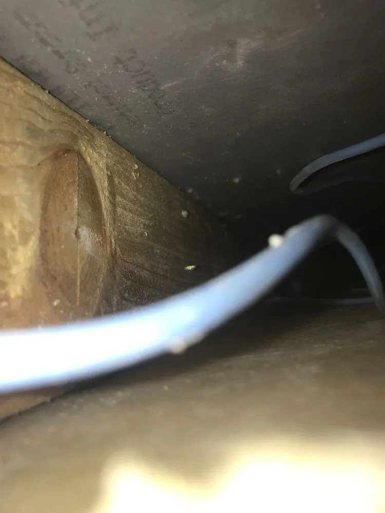 Slide of American Septic & Hydro Drain Services