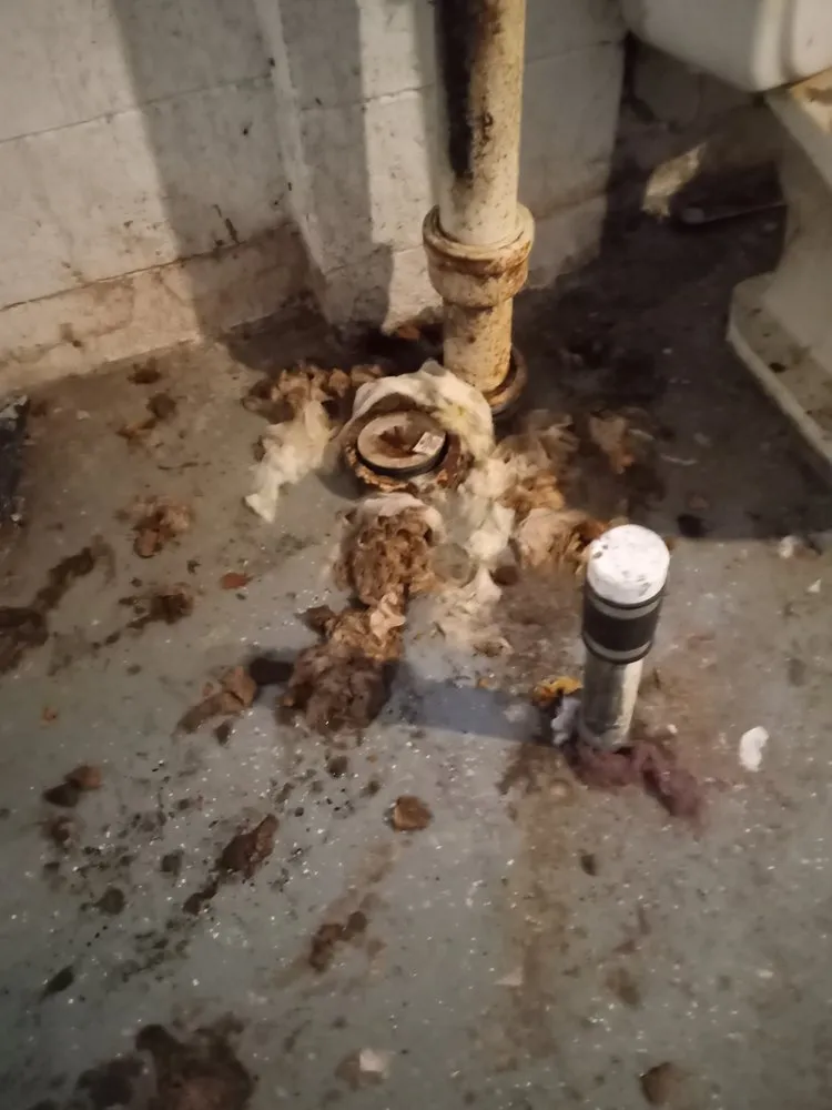 Slide of American Sewer Cleaners