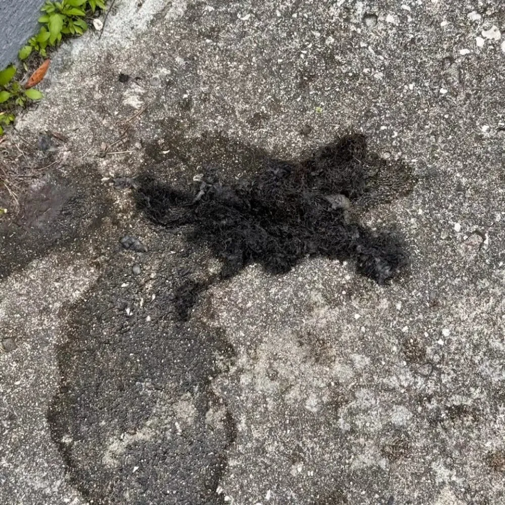 Slide of American Veteran Plumbing