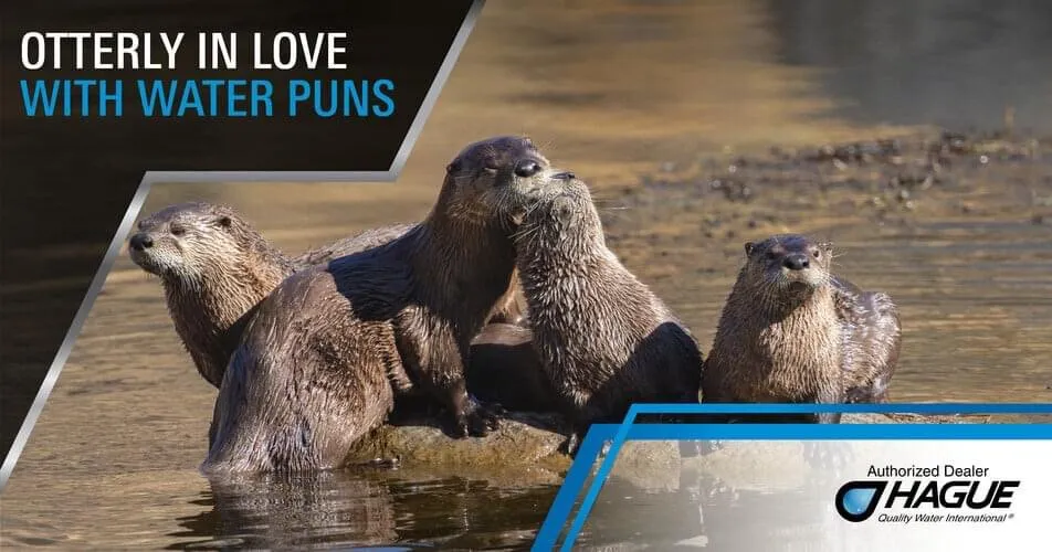 Slide of American Water And Plumbing