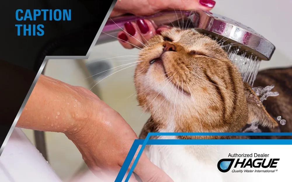 Slide of American Water And Plumbing