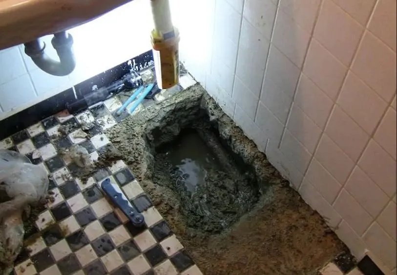 Slide of Americana Leak Detection